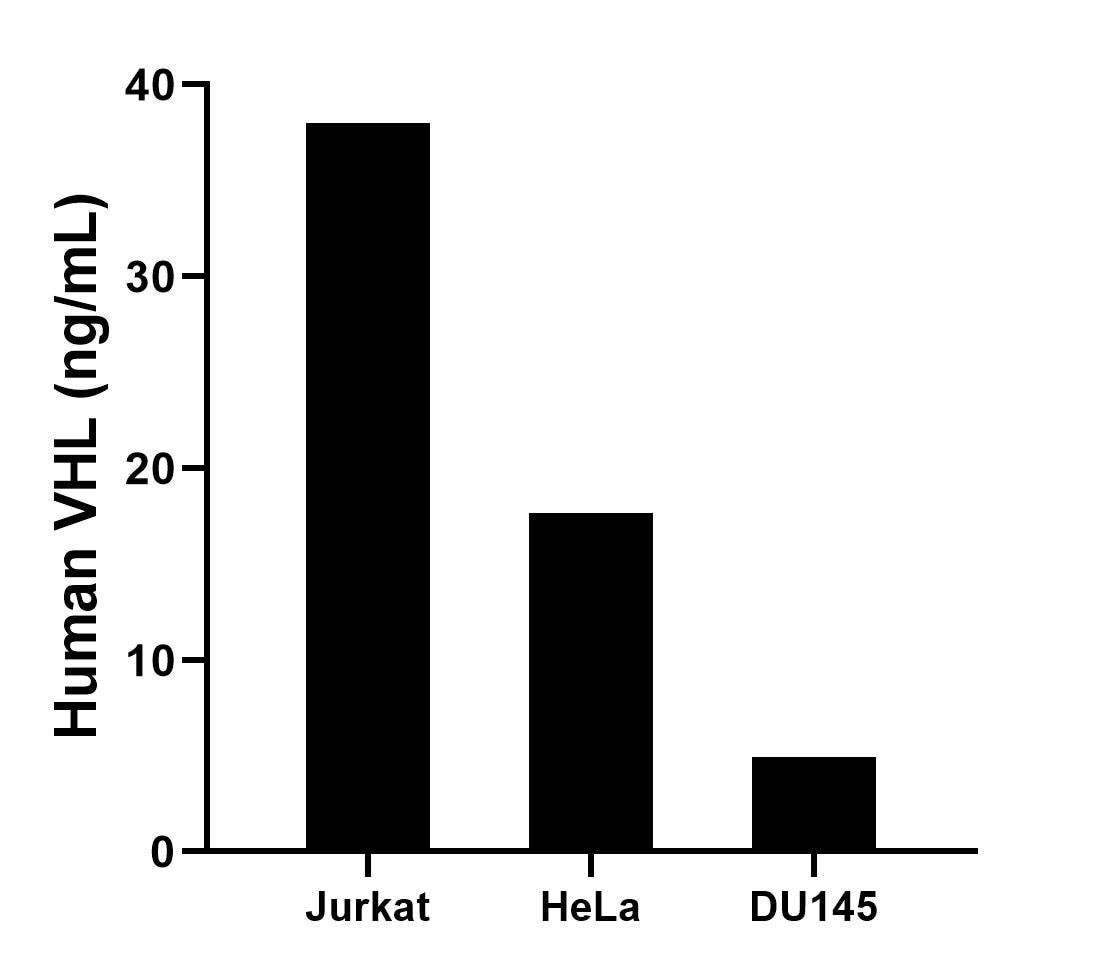 The mean VHL concentration was determined to be 37.97 ng/mL in Jurkat cell extract based on a 1.2 mg/mL extract load,17.69 ng/mL in HeLa cell extract based on a 1.2 mg/mL extract load and 4.97 ng/mL in DU145 cell extract based on a 1.2 mg/mL extract load. The mean VHL concentration was determined to be 37.97 ng/mL in Jurkat cell extract based on a 1.2 mg/mL extract load,17.69 ng/mL in HeLa cell extract based on a 1.2 mg/mL extract load and 4.97 ng/mL in DU145 cell extract based on a 1.2 mg/mL extract load.
