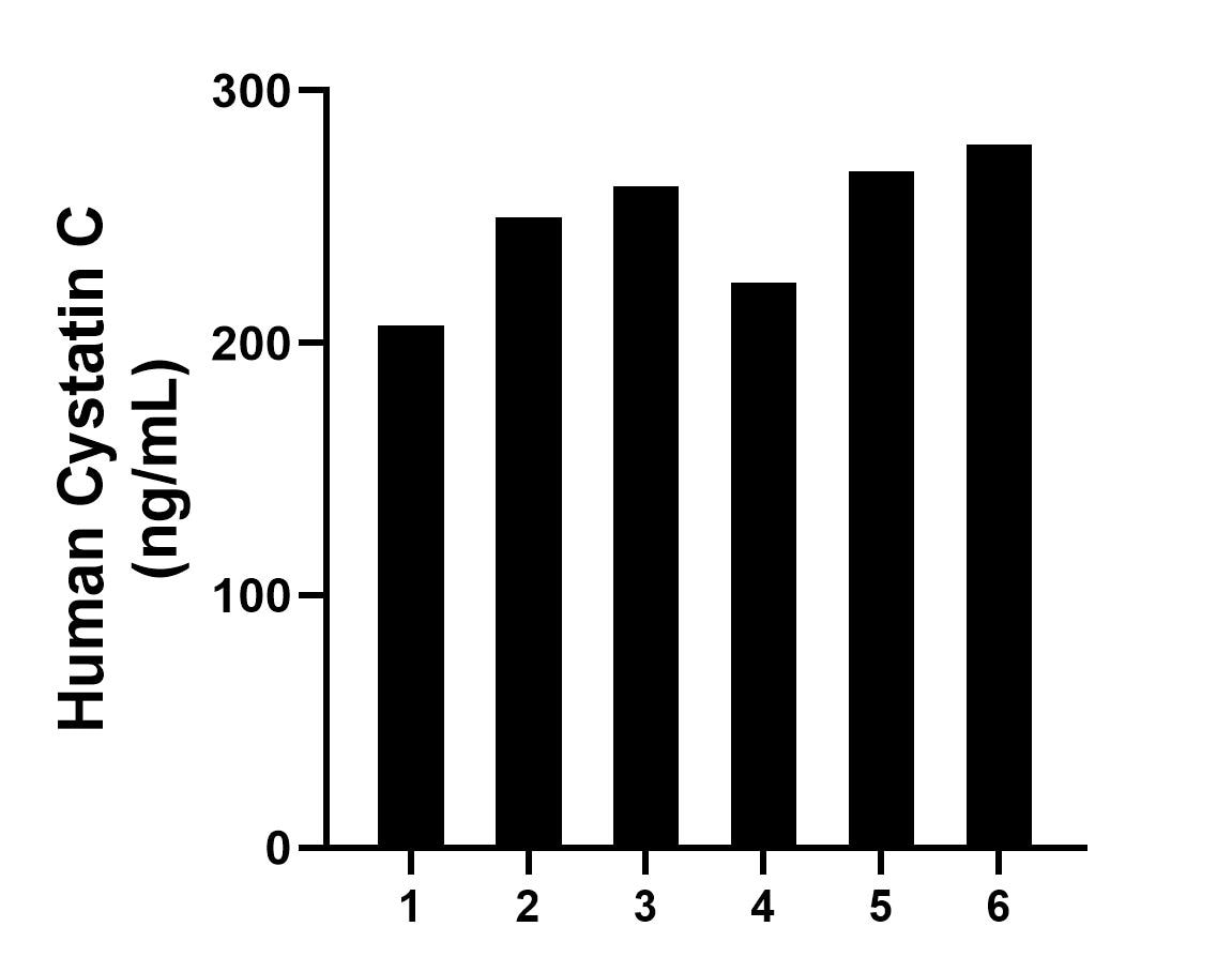 Plasma of six individual healthy human donors was measured. The human Cystatin C concentration of detected samples was determined to be 248.17 ng/mL with a range of 206.96 - 278.44 ng/mL.