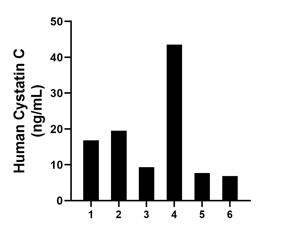 Urine of six individual healthy human donors was measured. The human Cystatin C concentration of detected samples was determined to be 17.29 ng/mL with a range of 6.84 - 43.57 ng/mL.