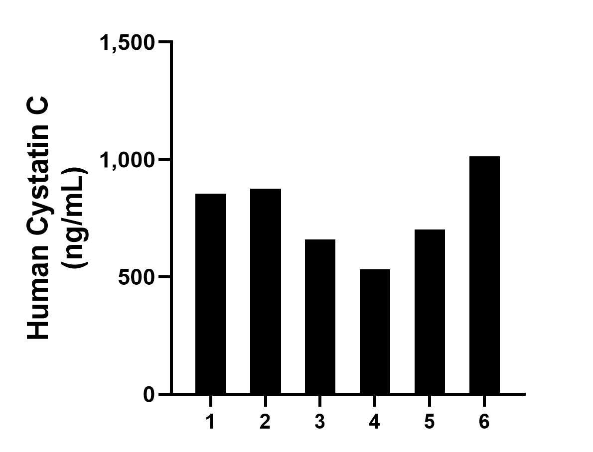 Human milk of six individual healthy human donors was measured. The human Cystatin C concentration of detected samples was determined to be 772.84 ng/mL with a range of 532.83 - 1,013.37 ng/mL.