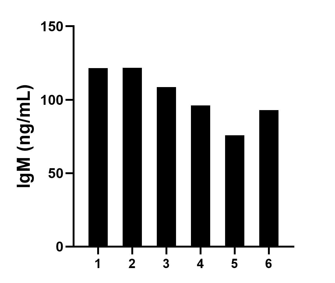 Sandwich ELISA sample test of MP02989-1