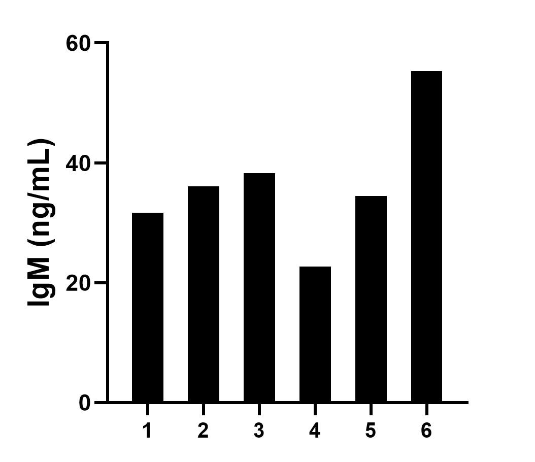 Sandwich ELISA sample test of MP02989-1