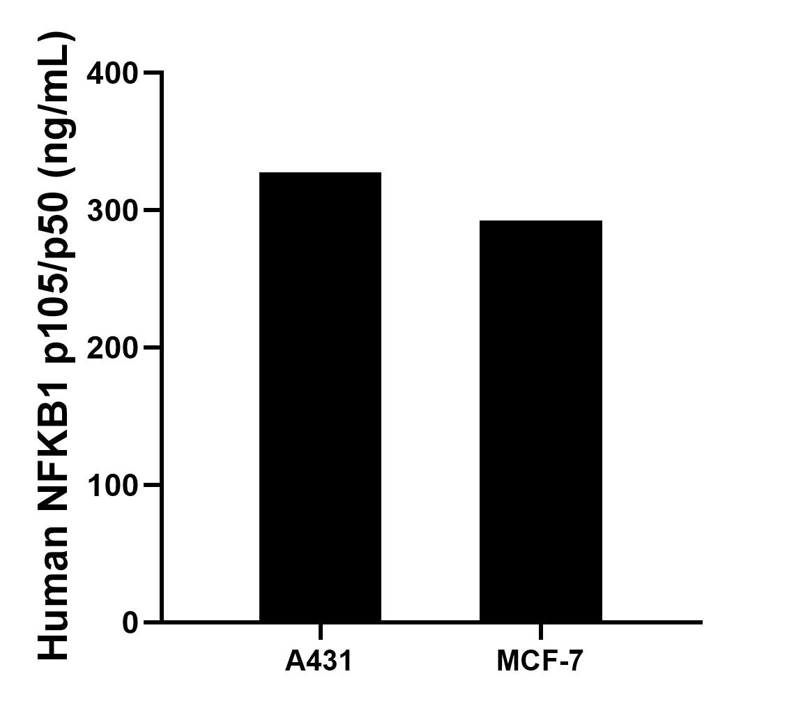 The mean NFKB1 p105/p50 concentration was determined to be 327.72 ng/mL in A431 cell extract based on a 1.20 mg/mL extract load and 292.40 ng/mL in MCF-7 cell extract based on a 1.20 mg/mL extract load. 