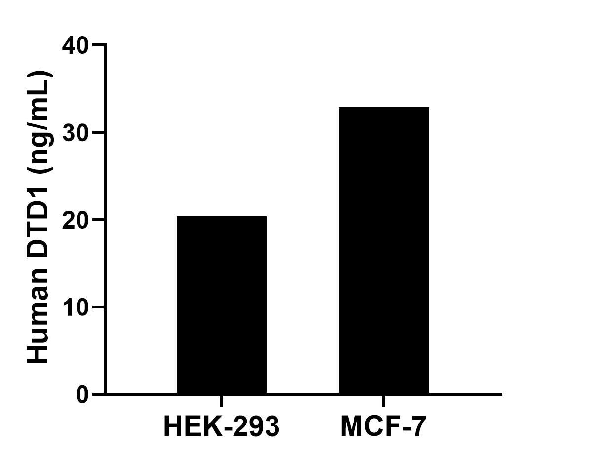 The mean DTD1 concentration was determined to be 20.40 ng/mL in HEK-293 cell extract based on a 1.20 mg/mL extract load and 32.90 ng/mL in MCF-7 cell extract based on a 1.20 mg/mL extract load. Sandwich ELISA sample test of MP03023-1