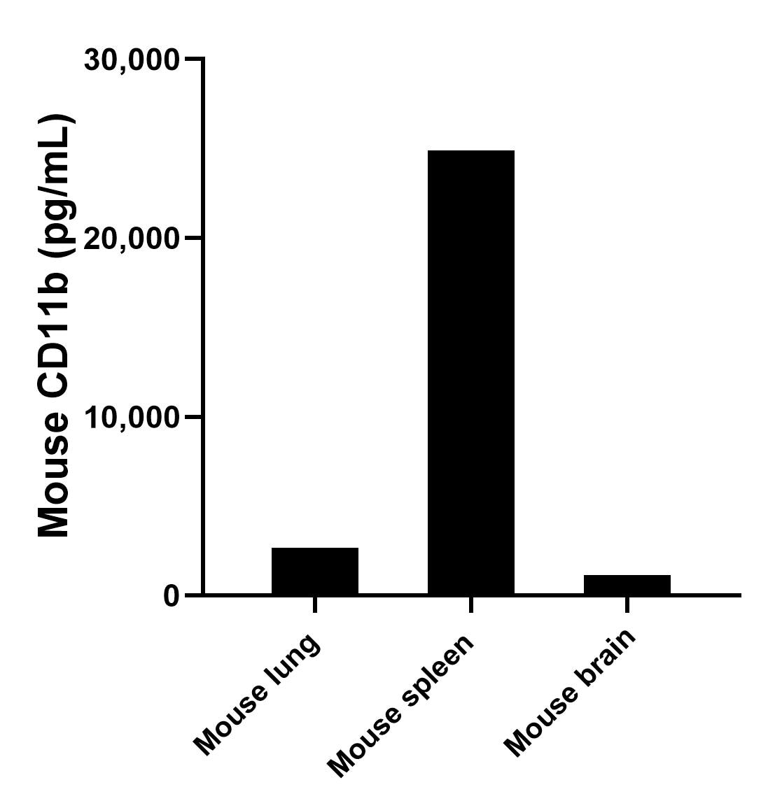 The mean CD11b concentration was determined to be 2,640.3 pg/mL in mouse lung tissue extract based on a 5.0 mg/mL, 24,896.3 pg/mL in mouse spleen tissue extract based on a 6.4 mg/mL extract load and 1,148.8 pg/mL in mouse brain tissue extract based on a 6.3 mg/mL extract load.