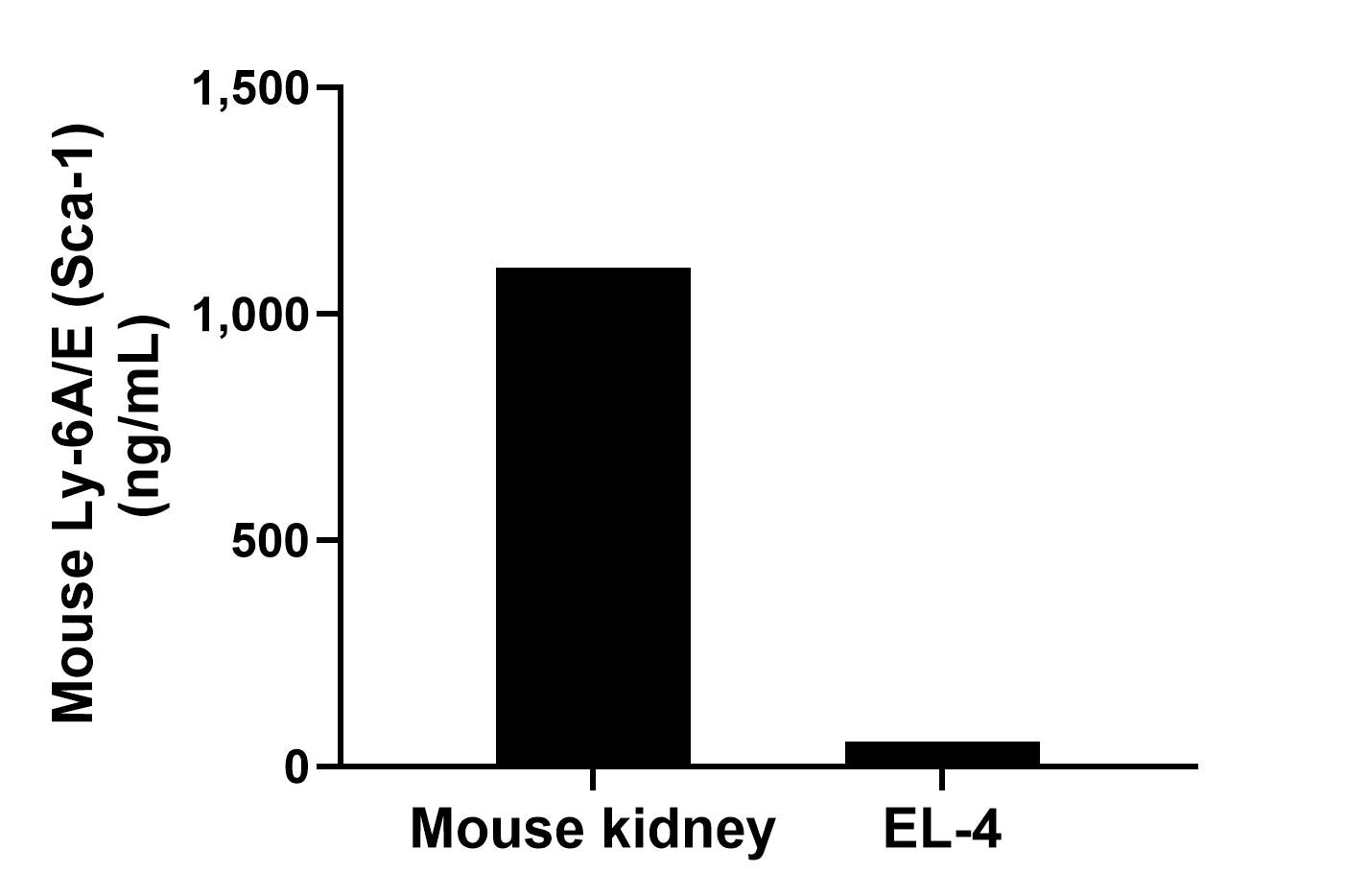 The mean Ly-6A/E (Sca-1) concentration was determined to be 1,101.47 ng/mL in mouse kidney extract based on a 8.40 mg/mL extract load and 54.43 ng/mL in EL-4 cell extract based on a 3.70 mg/mL extract load. Sandwich ELISA sample test of MP03064-1