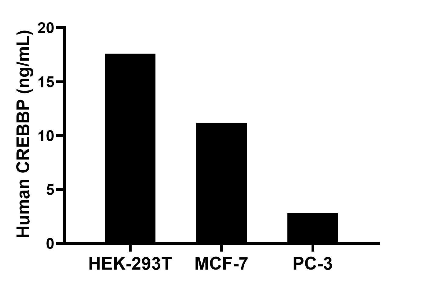 The mean CREBBP concentration was determined to be 17.6 ng/mL in HEK-293T cell extract based on a 1.2 mg/mL extract load, 11.2 ng/mL in MCF-7 cell extract based on a 1.2 mg/mL extract load and 2.8 ng/mL in PC-3 cell extract based on a 1.3 mg/mL extract load.