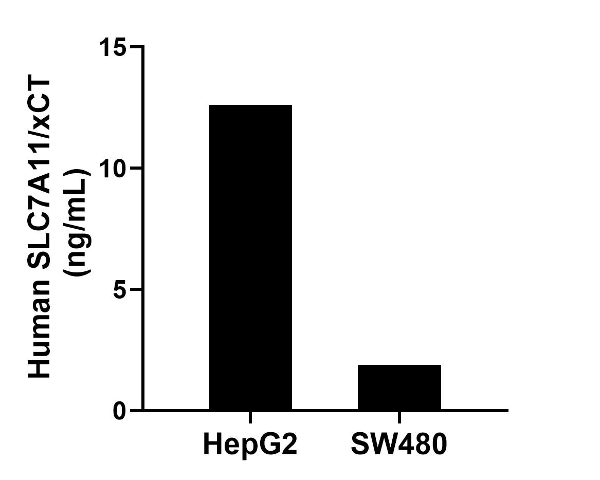 Sandwich ELISA sample test of MP03119-1