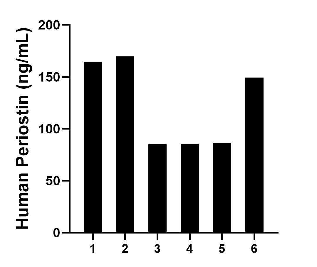 Plasma of six individual healthy human donors was measured. The Periostin concentration of detected samples was determined to be 123.42 ng/mL with a range of 85.10-169.78 ng/mL.	