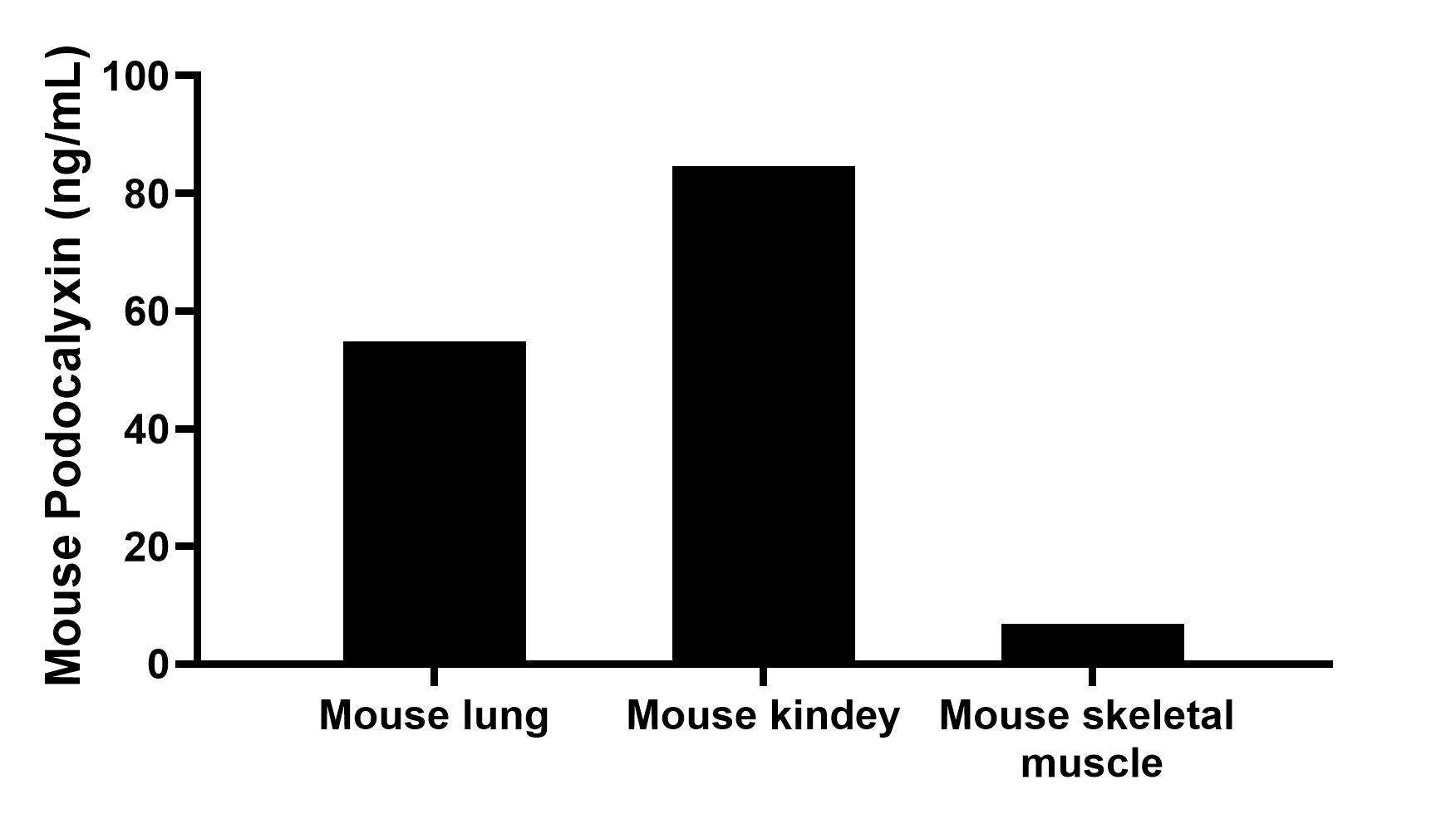 The mean Podocalyxin concentration was determined to be 54.90 ng/mL in mouse lung extract based on a 5.00 mg/mL extract load, 84.60 ng/mL in mouse kidney extract based on a 8.40 mg/mL extract load and 6.90 ng/mL in mouse skeletal muscle extract based on a 4.10 mg/mL extract load. The mean Podocalyxin concentration was determined to be 54.90 ng/mL in mouse lung extract based on a 5.00 mg/mL extract load, 84.60 ng/mL in mouse kidney extract based on a 8.40 mg/mL extract load and 6.90 ng/mL in mouse skeletal muscle extract based on a 4.10 mg/mL extract load.