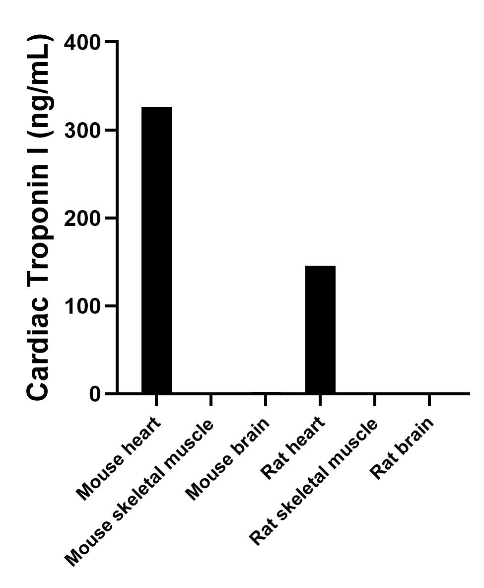 The mean Cardiac Troponin I concentration was determined to be 326.50 ng/mL in mouse heart tissue extract based on a 5.40 mg/mL extract load, 1.17 ng/mL in mouse skeletal muscle tissue extract based on a 4.10 mg/mL extract load, 2.16 ng/mL in mouse brain tissue extract based on a 6.30 mg/mL extract load, 145.92 ng/mL in rat heart tissue extract based on a 6.70 mg/mL extract load, 1.25 ng/mL in rat skeletal muscle tissue extract based on a 4.70 mg/mL extract load and 1.47 ng/mL in rat brain tissue extract based on a 3.90 mg/mL extract load.