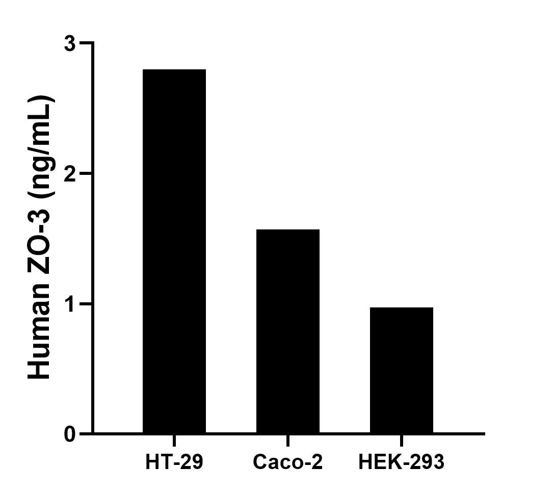 Sandwich ELISA sample test of MP03141-1