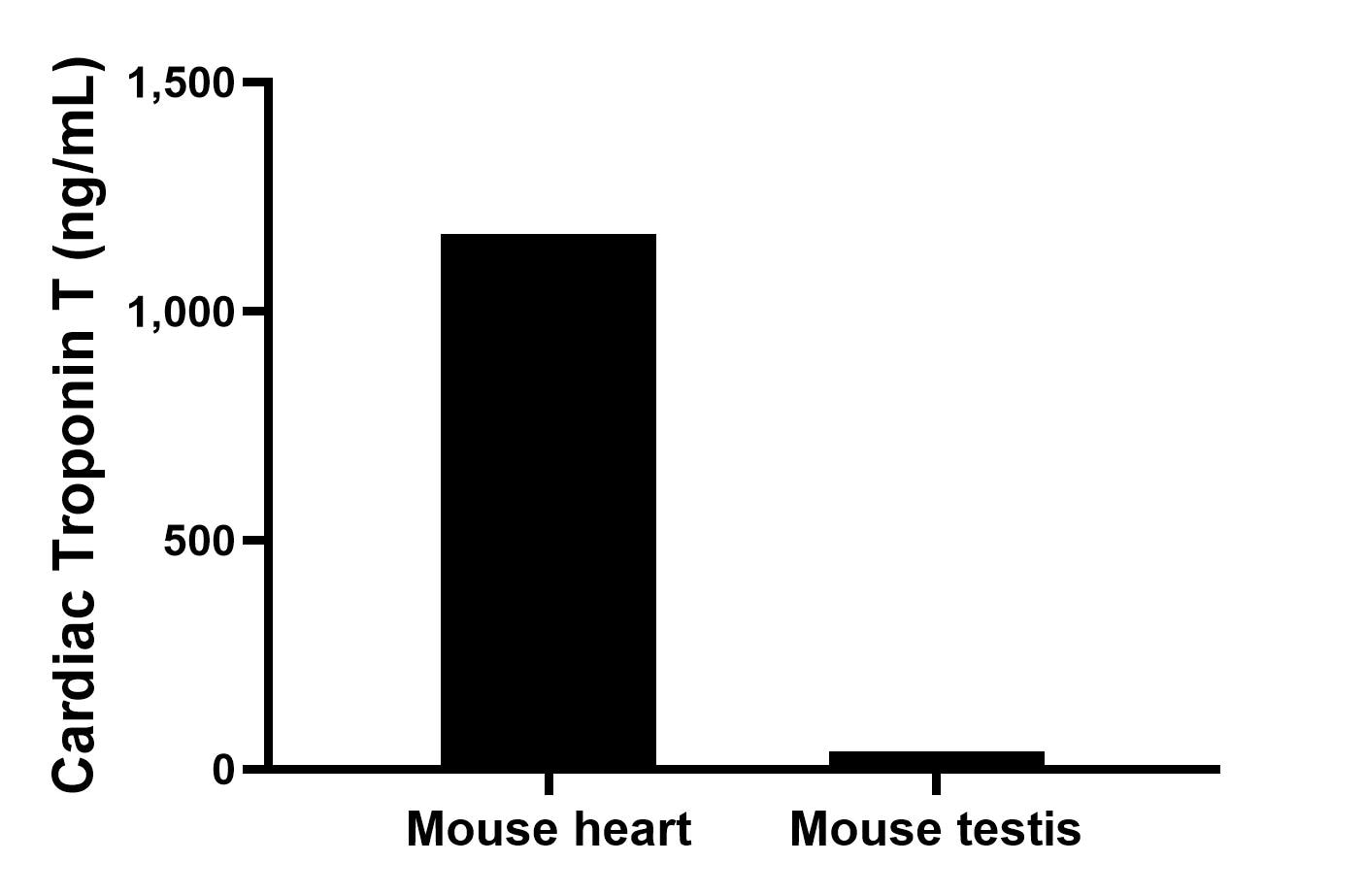 The mean Cardiac Troponin T concentration was determined to be 1,168.00 ng/mL in mouse heart extract based on a 5.40 mg/mL extract load and 39.40 ng/mL in mouse testis extract based on a 1.10 mg/mL extract load. 