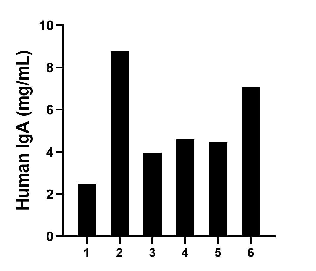 Sandwich ELISA sample test of MP03146-1