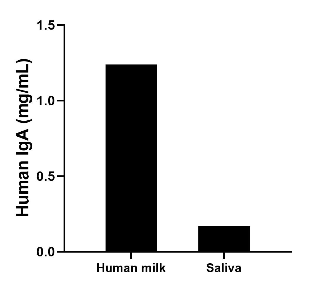 Sandwich ELISA sample test of MP03146-1