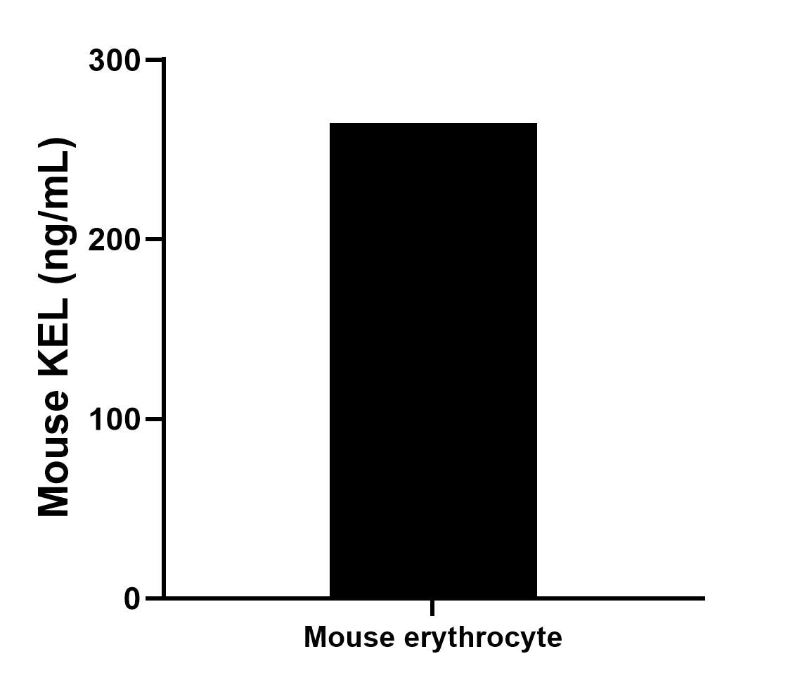 The mean KEL concentration was determined to be 264.80 ng/mL in mouse erythrocyte cell extract based on a 1.2 mg/mL extract load. Sandwich ELISA sample test of MP03154-2