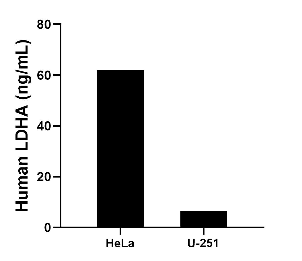 Sandwich ELISA sample test of MP03165-1