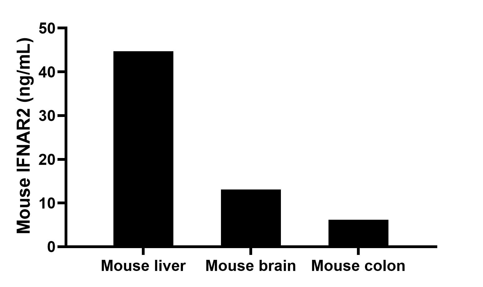 The mean IFNAR2 concentration was determined to be 44.7 ng/mL in mouse liver extract based on a 8.4 mg/mL extract load, 13.1 ng/mL in mouse brain extract based on a 6.3 mg/mL extract load and 6.2 ng/mL in mouse colon extract based on a 4.9 mg/mL extract load. The mean IFNAR2 concentration was determined to be 44.7 ng/mL in mouse liver extract based on a 8.4 mg/mL extract load, 13.1 ng/mL in mouse brain extract based on a 6.3 mg/mL extract load and 6.2 ng/mL in mouse colon extract based on a 4.9 mg/mL extract load.