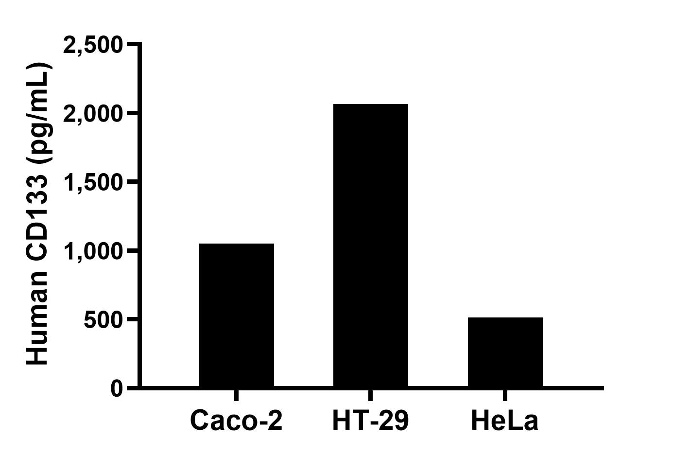 The mean CD133 concentration was determined to be 1,052.2 pg/mL in Caco-2 cell extract based on a 1.3 mg/mL extract load, 2,066.1 pg/mL in HT-29 cell extract based on a 1.1 mg/mL extract load and 514.9 pg/mL in HeLa cell extract based on a 1.2 mg/mL extract load. The mean CD133 concentration was determined to be 1,052.2 pg/mL in Caco-2 cell extract based on a 1.3 mg/mL extract load, 2,066.1 pg/mL in HT-29 cell extract based on a 1.1 mg/mL extract load and 514.9 pg/mL in HeLa cell extract based on a 1.2 mg/mL extract load.