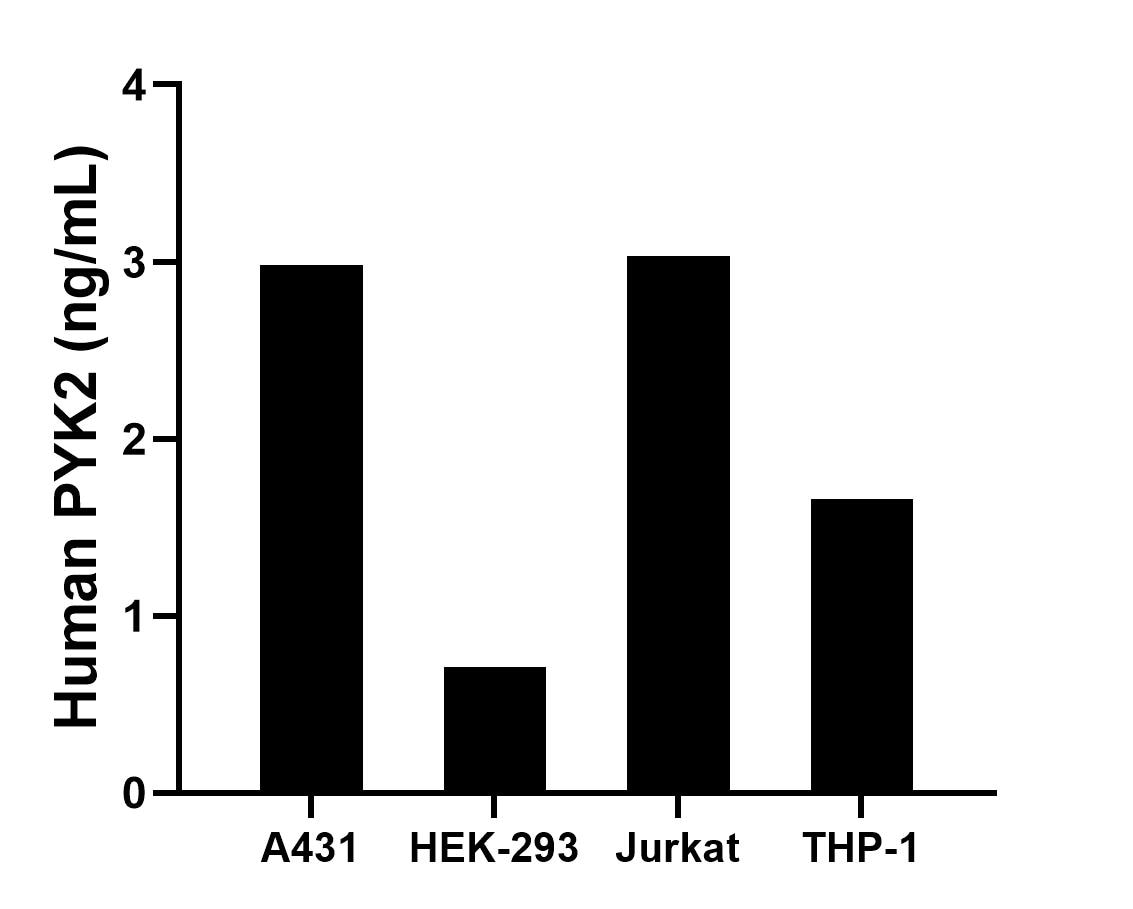 The mean PYK2 concentration was determined to be 2.98 ng/mL in A431 cell extract based on a 1.5 mg/mL extract load, 0.71 ng/mL in HEK-293 cell extract based on a 1.5 mg/mL extract load, 3.03 ng/mL in Jurkat cell extract based on a 1.2 mg/mL extract load and 1.66 ng/mL in THP-1 cell extract based on a 1.2 mg/mL extract load. The mean PYK2 concentration was determined to be 2.98 ng/mL in A431 cell extract based on a 1.5 mg/mL extract load, 0.71 ng/mL in HEK-293 cell extract based on a 1.5 mg/mL extract load, 3.03 ng/mL in Jurkat cell extract based on a 1.2 mg/mL extract load and 1.66 ng/mL in THP-1 cell extract based on a 1.2 mg/mL extract load.