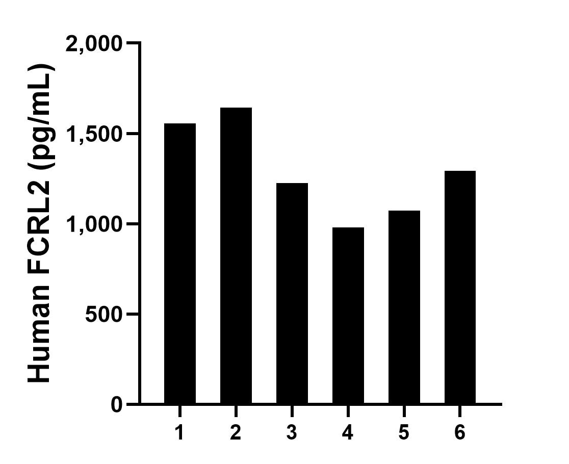 Plasma of six individual healthy human donors was measured. The human FCRL2 concentration of detected samples was determined to be 1,294.6 pg/mL with a range of 980.1-1,641.9 pg/mL. Plasma of six individual healthy human donors was measured. The human FCRL2 concentration of detected samples was determined to be 1,294.6 pg/mL with a range of 980.1-1,641.9 pg/mL.