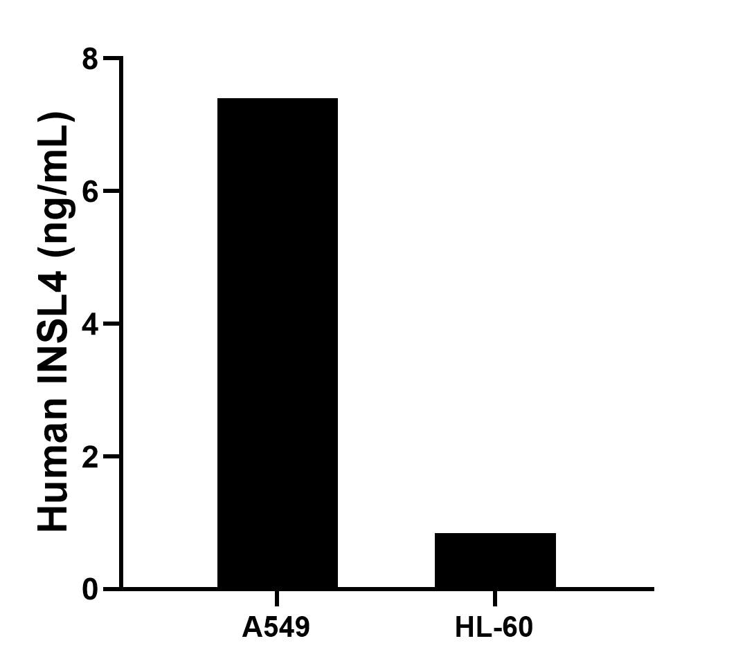 The mean INSL4 concentration was determined to be 7.40 ng/mL in A549 cell extract based on a 1.2 mg/mL extract load and 0.84 ng/mL in HL-60 cell extract based on a 1.5 mg/mL extract load. The mean INSL4 concentration was determined to be 7.40 ng/mL in A549 cell extract based on a 1.2 mg/mL extract load and 0.84 ng/mL in HL-60 cell extract based on a 1.5 mg/mL extract load.