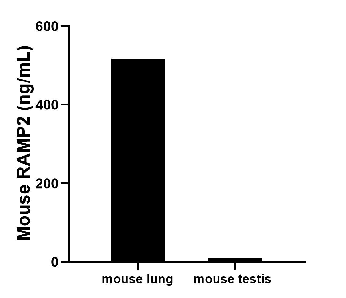 The mean RAMP2 concentration was determined to be 517.00 ng/mL in mouse lung tissue extract based on a 5.0 mg/mL extract load and 9.22 ng/mL in mouse testis tissue extract based on a 9.22 mg/mL extract load.	