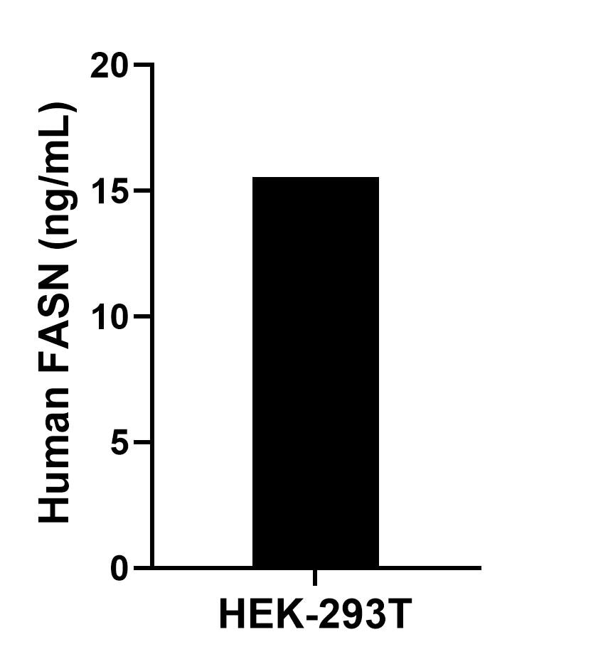 The mean FASN concentration was determined to be 15.53 ng/mL in HEK-293T cell extract based on a 1.20 mg/mL extract load.