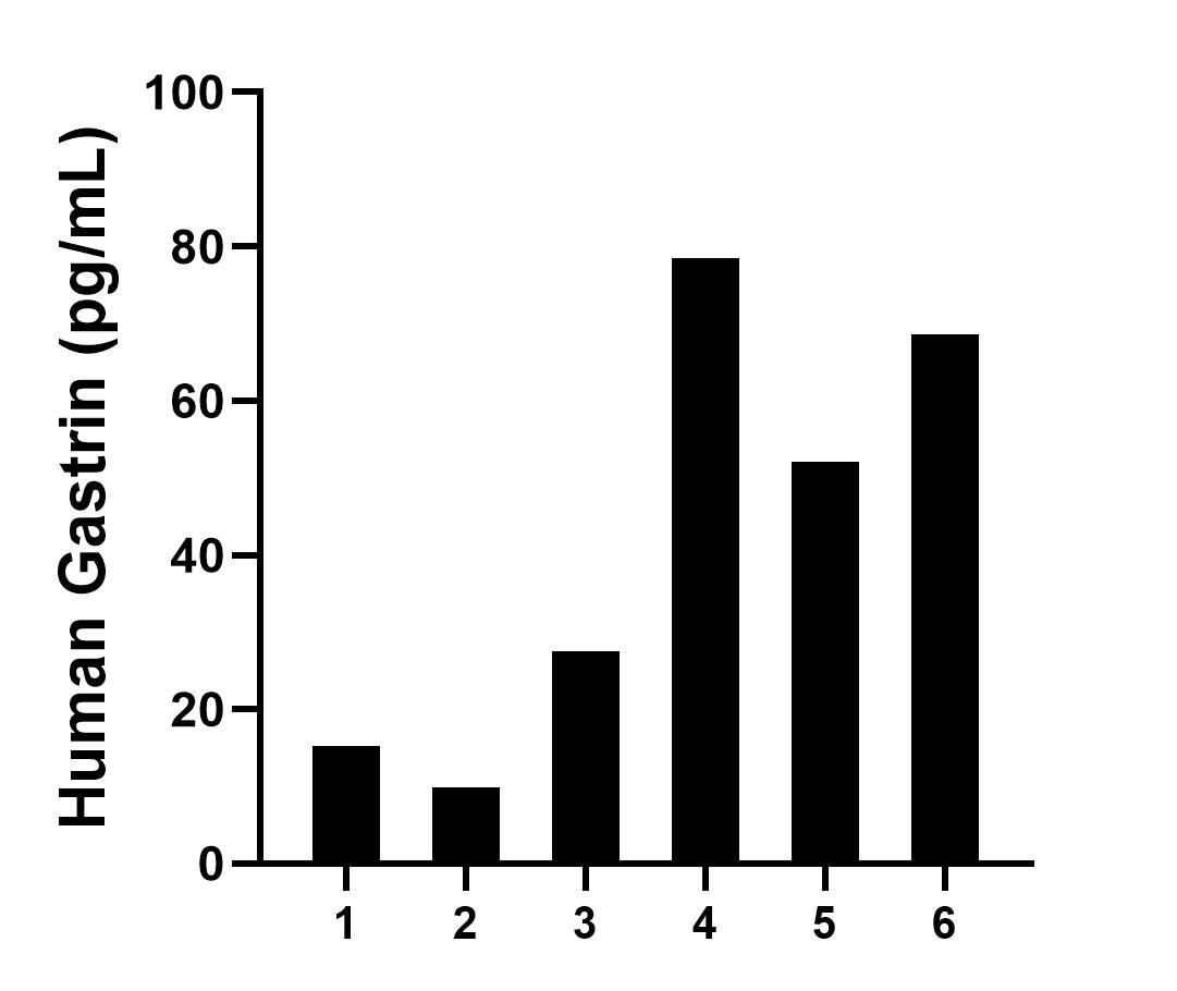Plasma of six individual healthy human donors was measured. The Gastrin concentration of detected samples was determined to be 41.9 pg/mL with a range of 9.8-78.4 pg/mL. Plasma of six individual healthy human donors was measured. The Gastrin concentration of detected samples was determined to be 41.9 pg/mL with a range of 9.8-78.4 pg/mL.