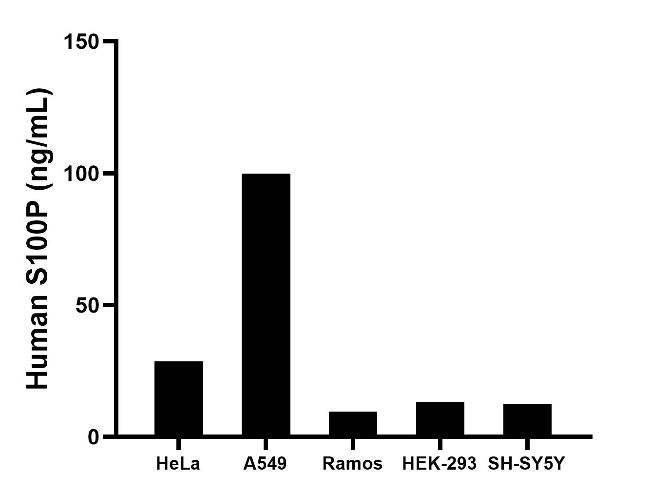 The mean S100P concentration was determined to be 28.55 ng/mL in HeLa cell extract based on a 1.20 mg/mL extract load, 99.89 ng/mL in A549 cell extract based on a 1.20 mg/mL extract load, 9.63 ng/mL in Ramos cell extract based on a 1.20 mg/mL extract load, 13.25 ng/mL in HEK-293 cell extract based on a 1.20 mg/mL extract load and 12.60 ng/mL in SH-SY5Y cell extract based on a 1.20 mg/mL extract load. The mean S100P concentration was determined to be 28.55 ng/mL in HeLa cell extract based on a 1.20 mg/mL extract load, 99.89 ng/mL in A549 cell extract based on a 1.20 mg/mL extract load, 9.63 ng/mL in Ramos cell extract based on a 1.20 mg/mL extract load, 13.25 ng/mL in HEK-293 cell extract based on a 1.20 mg/mL extract load and 12.60 ng/mL in SH-SY5Y cell extract based on a 1.20 mg/mL extract load.