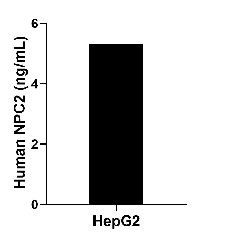 The mean NPC2 concentration was determined to be 5.3 ng/mL in HepG2 cell extract based on a 1.2 mg/mL extract load.