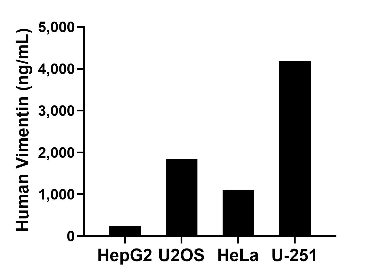 The mean Vimentin concentration was determined to be 250.38 ng/mL in HepG2 cell extract based on a 1.20 mg/mL extract load, 1,849.39 ng/mL in U2OS cell extract based on a 1.20 mg/mL extract load, 1,100.42 ng/mL in HeLa cell extract based on a 1.20 mg/mL extract load and 4,187.14 ng/mL in U-251 cell extract based on a 1.20 mg/mL extract load. The mean Vimentin concentration was determined to be 250.38 ng/mL in HepG2 cell extract based on a 1.20 mg/mL extract load, 1,849.39 ng/mL in U2OS cell extract based on a 1.20 mg/mL extract load, 1,100.42 ng/mL in HeLa cell extract based on a 1.20 mg/mL extract load and 4,187.14 ng/mL in U-251 cell extract based on a 1.20 mg/mL extract load.