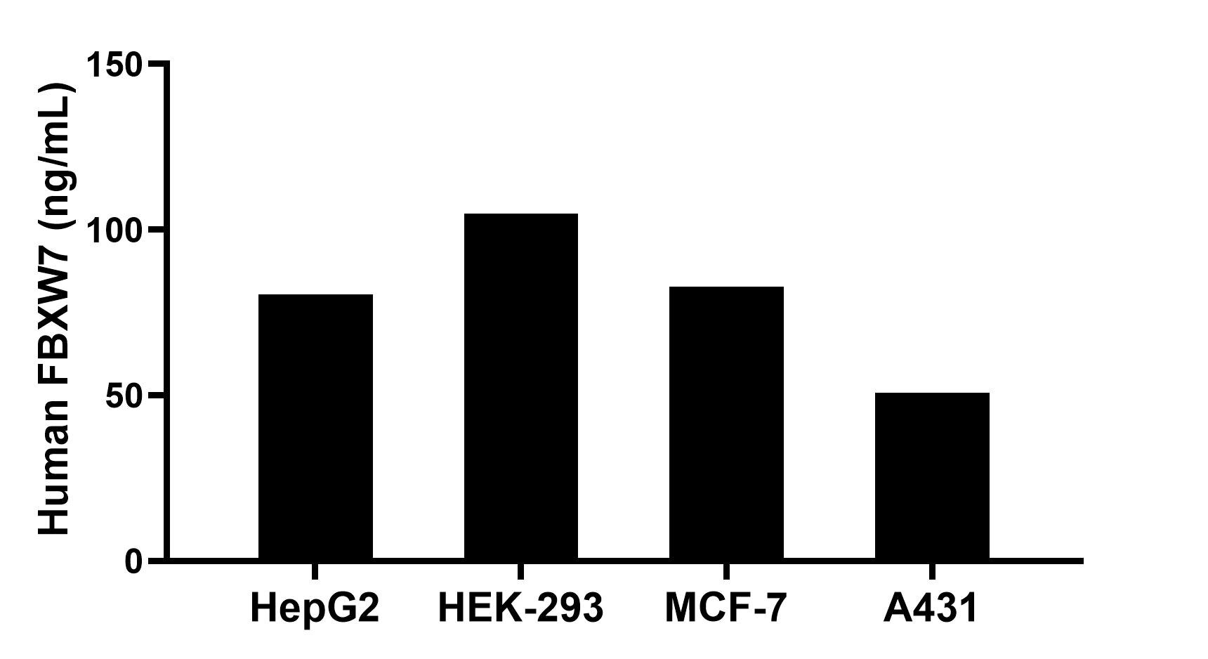 The mean FBXW7 concentration was determined to be 80.53 ng/mL in HepG2 cell extract based on a 1.20 mg/mL extract load, 104.83 ng/mL in HEK-293 cell extract based on a 1.20 mg/mL extract load, 82.72 ng/mL in MCF-7 cell extract based on a 1.20 mg/mL extract load and 50.78 ng/mL in A431 cell extract based on a 1.20 mg/mL extract load. The mean FBXW7 concentration was determined to be 80.53 ng/mL in HepG2 cell extract based on a 1.20 mg/mL extract load, 104.83 ng/mL in HEK-293 cell extract based on a 1.20 mg/mL extract load, 82.72 ng/mL in MCF-7 cell extract based on a 1.20 mg/mL extract load and 50.78 ng/mL in A431 cell extract based on a 1.20 mg/mL extract load.