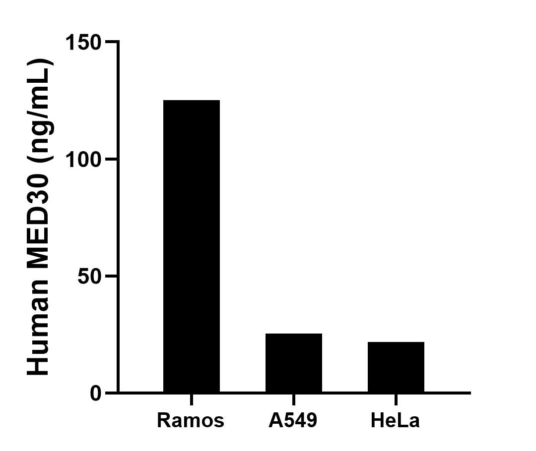 The mean MED30 concentration was determined to be 125.2 ng/mL in Ramos cell extract based on a 2.3 mg/mL extract load, 25.5 ng/mL in A549 cell extract based on a 1.2 mg/mL extract load and 21.9 ng/mL in HeLa cell extract based on a 1.2 mg/mL extract load. Sandwich ELISA sample test of MP51523-2