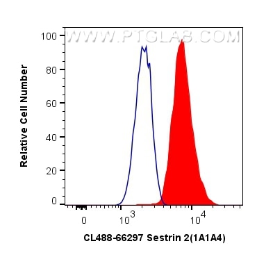 Flow cytometry (FC) experiment of HeLa cells using CoraLite® Plus 488-conjugated Sestrin 2 Monoclonal (CL488-66297)