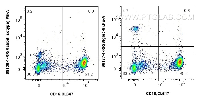 Flow cytometry (FC) experiment of human peripheral blood leukocytes using Anti-Human Siglec-8 Rabbit Recombinant Antibody (98177-1-RR)