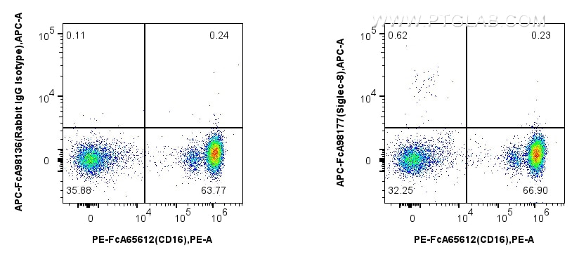 1x10^6 human peripheral blood leukocytes were surface stained with FcZero-rAb™ PE Anti-Human CD16, and 5 ul APC Anti-Human Siglec-8 Rabbit RecAb (APC-FcA98177, Clone: 241275A5) or APC Rabbit IgG Isotype Control RecAb (APC-FcA98136, Clone: 240953C9). Cells were not fixed. Flow cytometry (FC) experiment of human peripheral blood leukocyte using FcZero-rAb™ APC Anti-Human Siglec-8 Rabbit Recombi (APC-FcA98177)