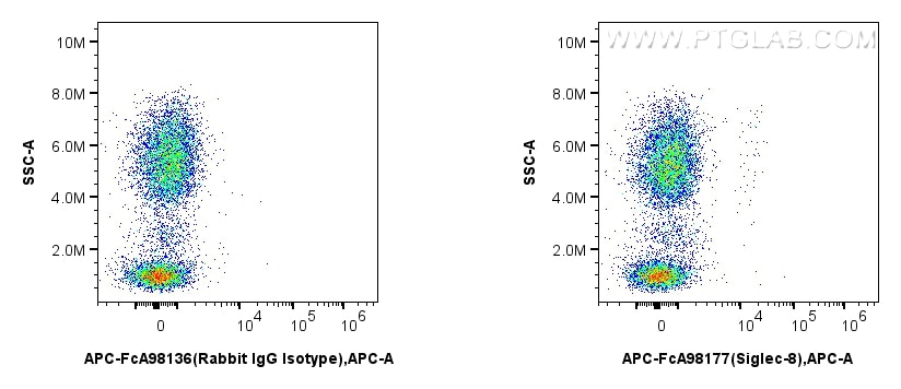 1x10^6 human peripheral blood leukocytes were surface stained with 5 ul APC Anti-Human Siglec-8 Rabbit RecAb (APC-FcA98177, Clone: 241275A5), or APC Rabbit IgG Isotype Control RecAb (APC-FcA98136, Clone: 240953C9). Cells were not fixed. Flow cytometry (FC) experiment of human peripheral blood leukocyte using FcZero-rAb™ APC Anti-Human Siglec-8 Rabbit Recombi (APC-FcA98177)