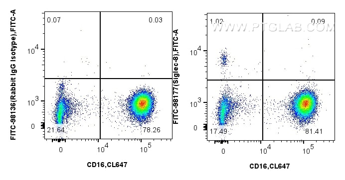 Flow cytometry (FC) experiment of human peripheral blood leukocytes using FITC Plus Anti-Human Siglec-8 Rabbit Recombinant A (FITC-98177)