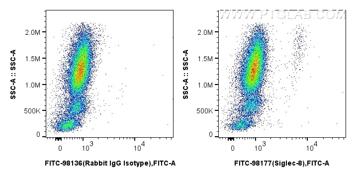 Flow cytometry (FC) experiment of human peripheral blood leukocytes using FITC Plus Anti-Human Siglec-8 Rabbit Recombinant A (FITC-98177)