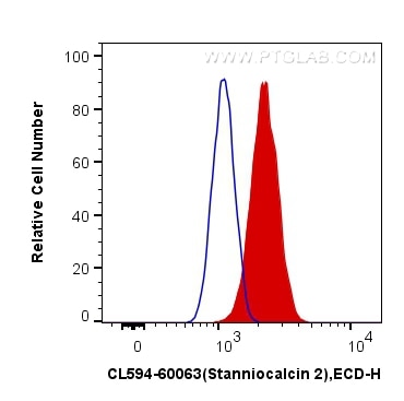 Flow cytometry (FC) experiment of HeLa cells using CoraLite®594-conjugated Stanniocalcin 2 Monoclonal (CL594-60063)