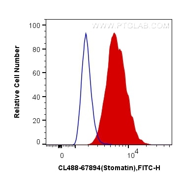 Flow cytometry (FC) experiment of A549 cells using CoraLite® Plus 488-conjugated Stomatin Monoclonal  (CL488-67894)
