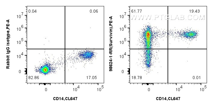 Flow cytometry (FC) experiment of human PBMCs using Anti-Human Survivin Rabbit Recombinant Antibody (98624-1-RR)