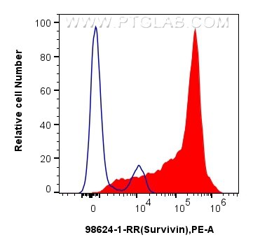 Flow cytometry (FC) experiment of human PBMCs using Anti-Human Survivin Rabbit Recombinant Antibody (98624-1-RR)