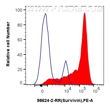 Flow cytometry (FC) experiment of human PBMCs using Anti-Human Survivin Rabbit Recombinant Antibody (98624-2-RR)