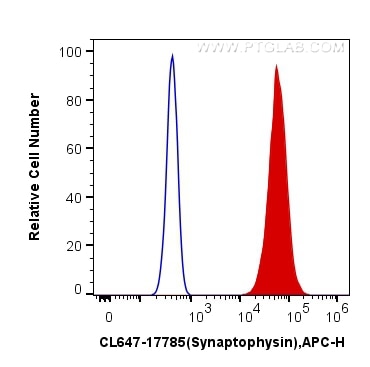 Flow cytometry (FC) experiment of PC-12 cells using CoraLite® Plus 647-conjugated Synaptophysin Polycl (CL647-17785)