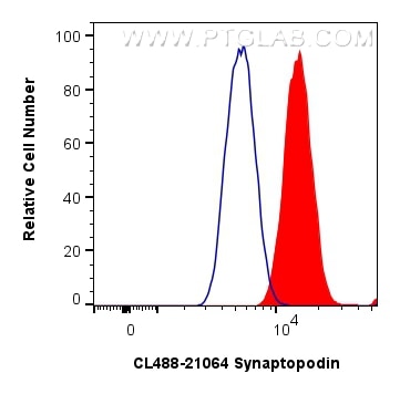 Flow cytometry (FC) experiment of U-87 MG cells using CoraLite® Plus 488-conjugated Synaptopodin Polyclo (CL488-21064)