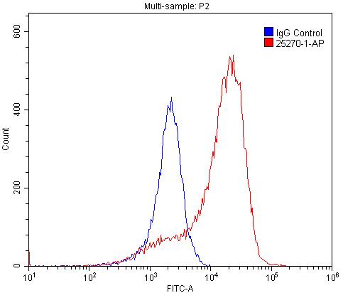 FC experiment of PC-3 using 25270-1-AP