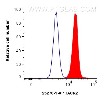 Flow cytometry (FC) experiment of HeLa cells using TACR2 Polyclonal antibody (25270-1-AP)