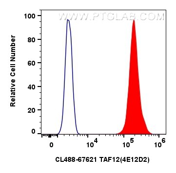 Flow cytometry (FC) experiment of HeLa cells using CoraLite® Plus 488-conjugated TAF12 Monoclonal ant (CL488-67621)